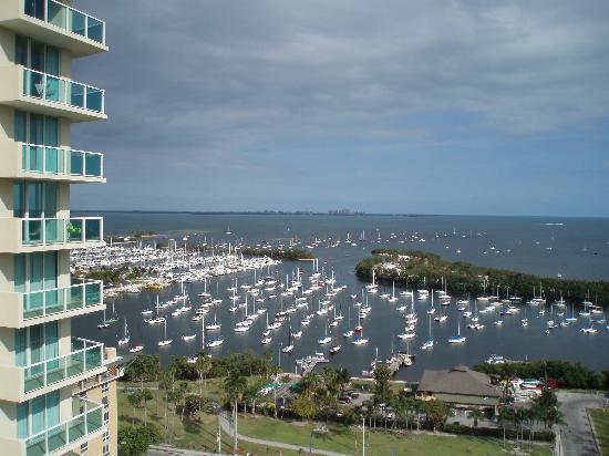 Immobilier Coconut Grove